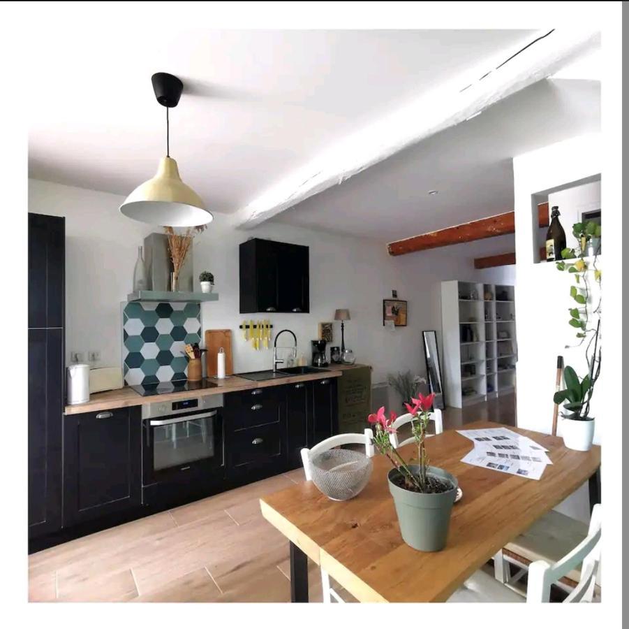 La Maison De Marie - Jardin Arbore - Garage Privatif - Netflix Carcassonne Extérieur photo